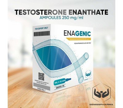 Buy original Genisq Pharma Enagenic (TESTOSTERONE ENANTHATE) 250mg/ml 10amps
