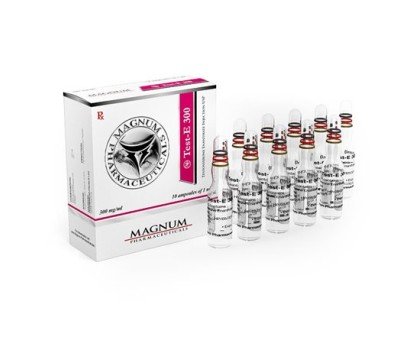 Buy TEST-E 300 (TESTOSTERONE ENANTHATE) 10 AMPS 300MG/1ML